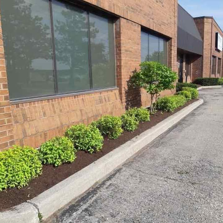 Commercial flowerbed cleanup