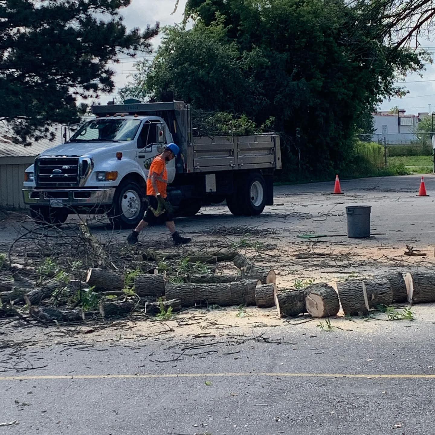 Tree cutting and removal